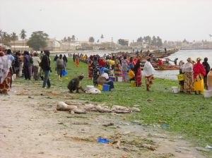 Marché du Poisson, Dakar
